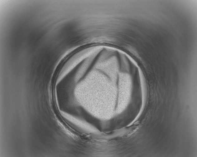 X0000066961032200604142110