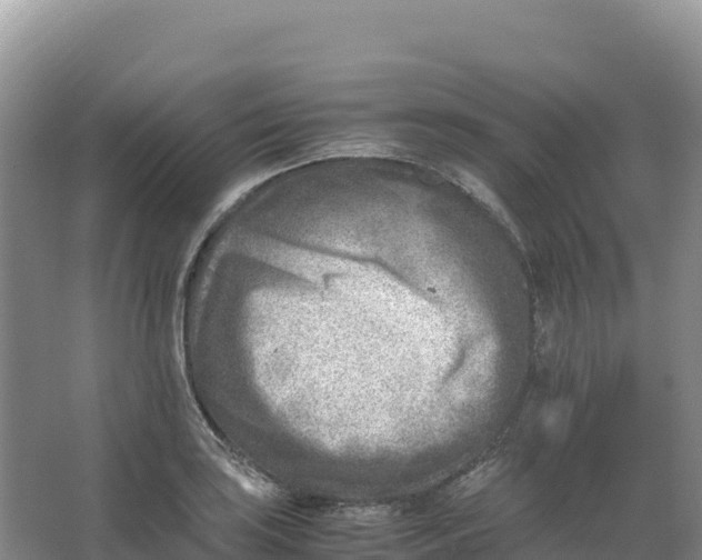 X0000066961035200604142110