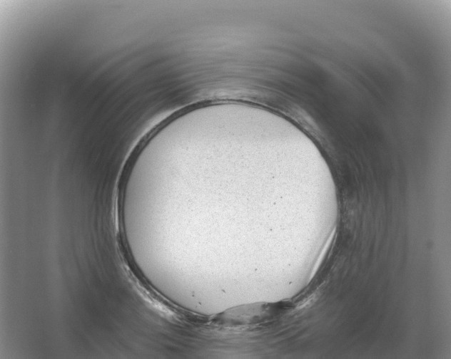 X0000066961036200604142110