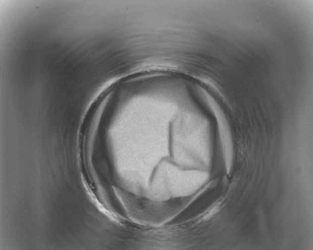 X0000066961038200604142110