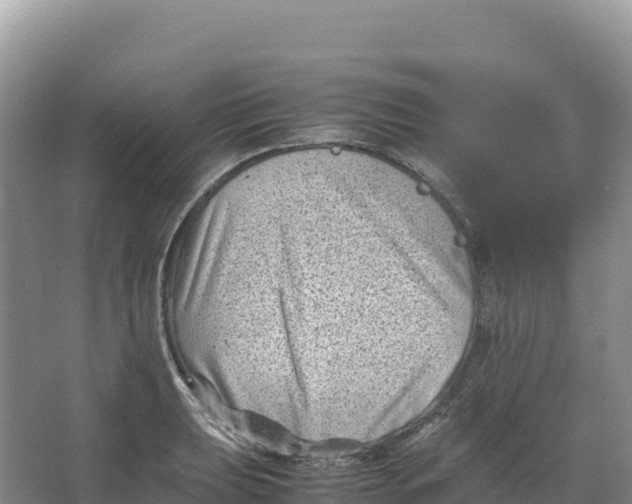 X0000066961039200604142110