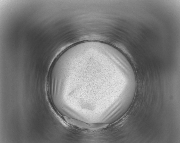 X0000066961040200604142110