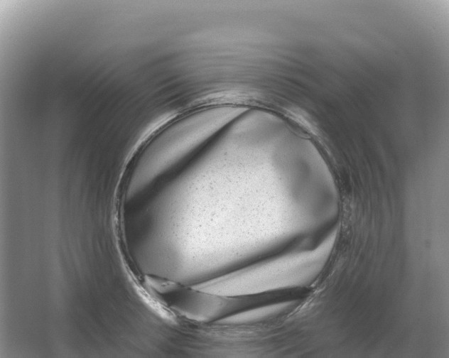 X0000066961042200604142110