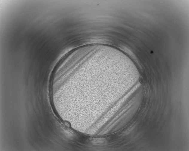 X0000066961043200604142110