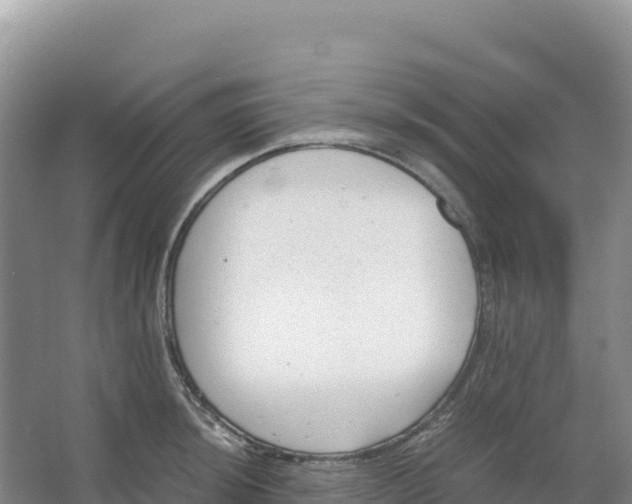 X0000066961044200604142110