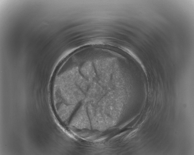 X0000066961045200604142110