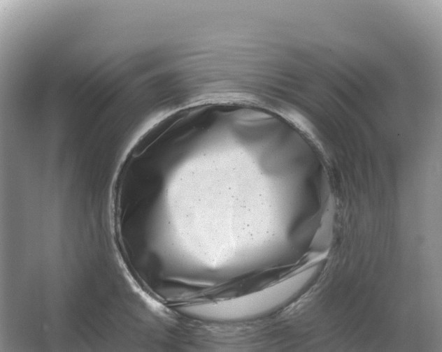 X0000066961046200604142110