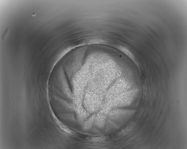 X0000066961047200604142110