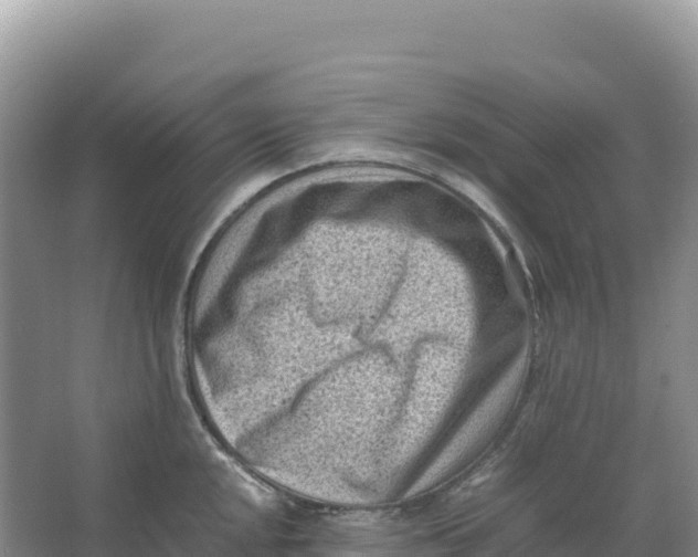 X0000066961048200604142110