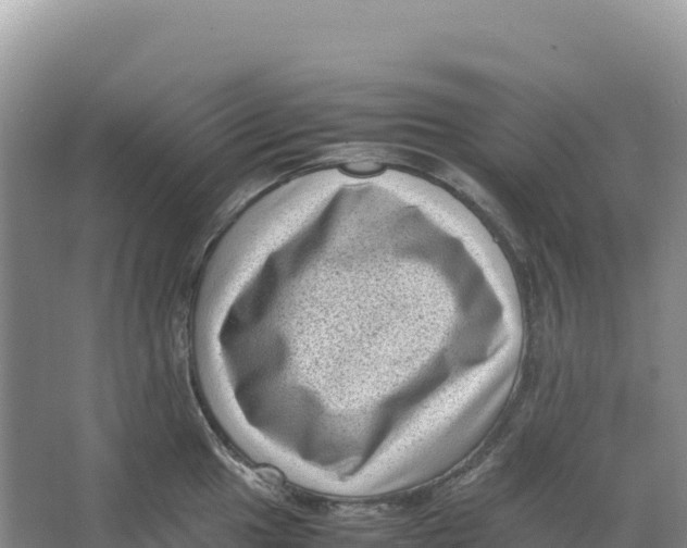 X0000066961049200604142110