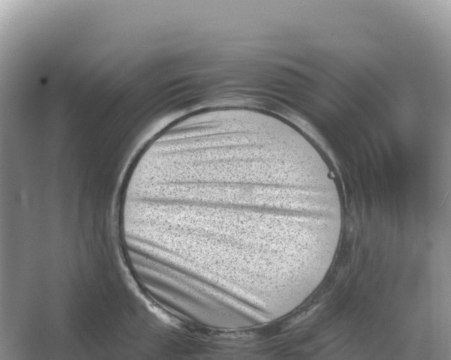 X0000066961053200604142110