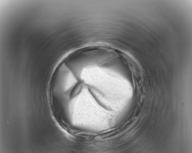 X0000066961054200604142110