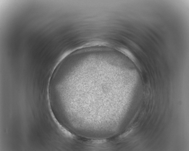 X0000066961055200604142110