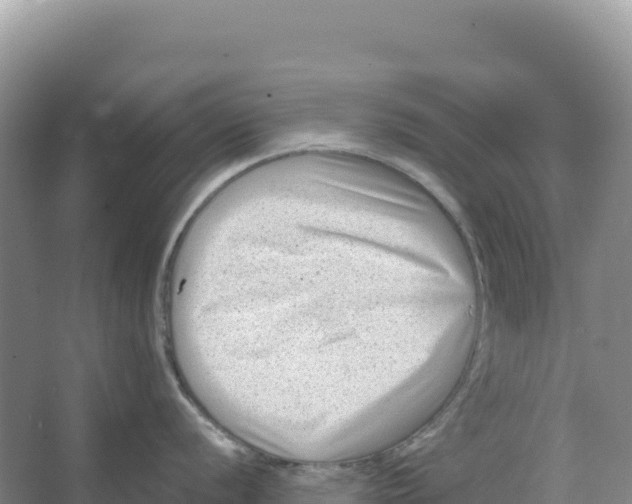 X0000066961056200604142110