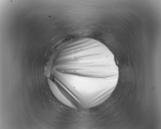 X0000066961058200604142109