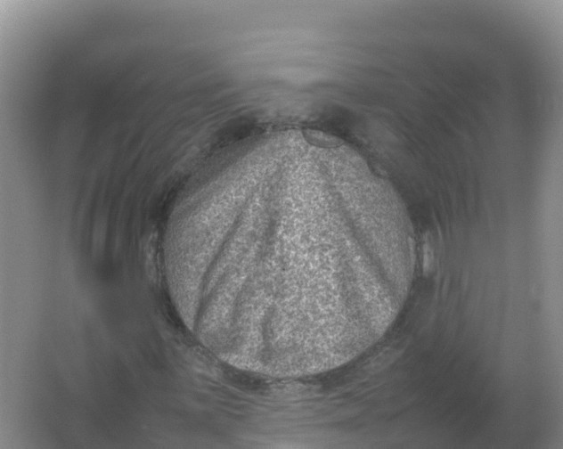 X0000066961059200604142109