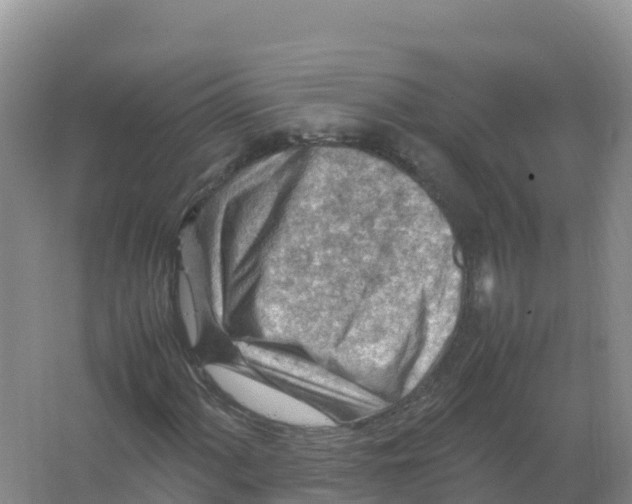 X0000066961060200604142109