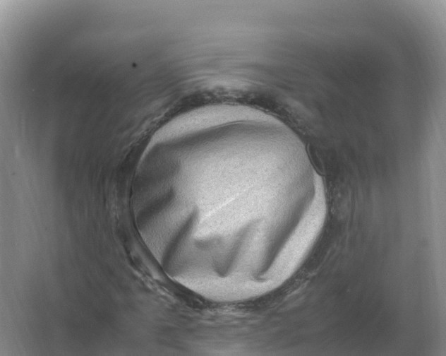 X0000066961061200604142109