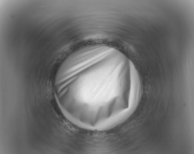 X0000066961062200604142109