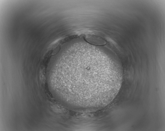 X0000066961063200604142109