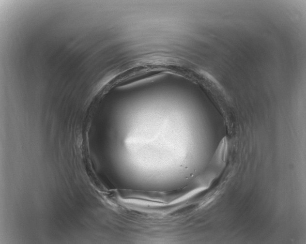 X0000066961065200604142109