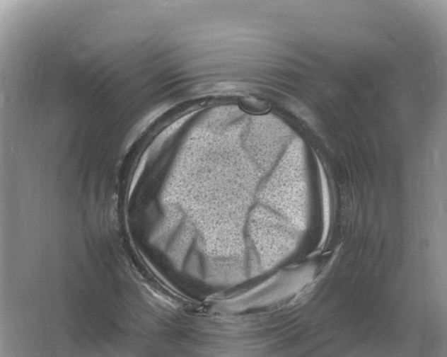 X0000066961066200604142109