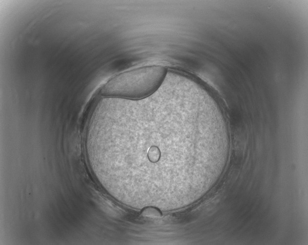 X0000066961067200604142109