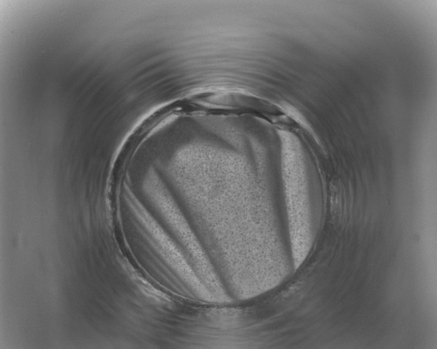 X0000066961068200604142109