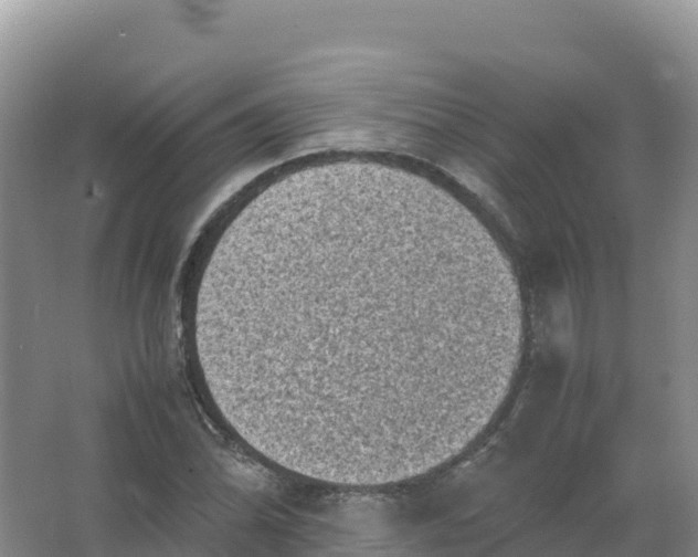 X0000066961070200604142109