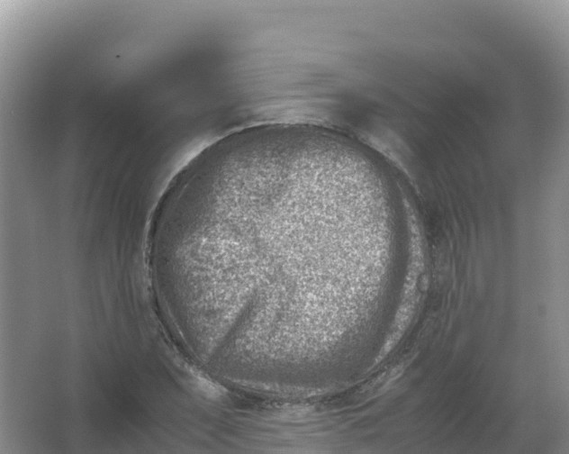 X0000066961071200604142109