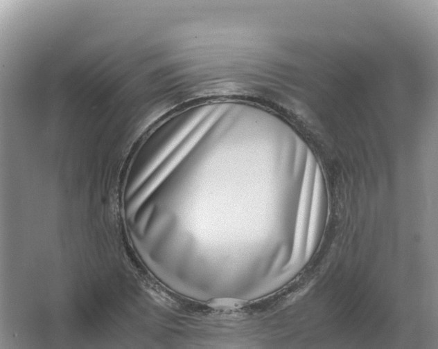 X0000066961073200604142109