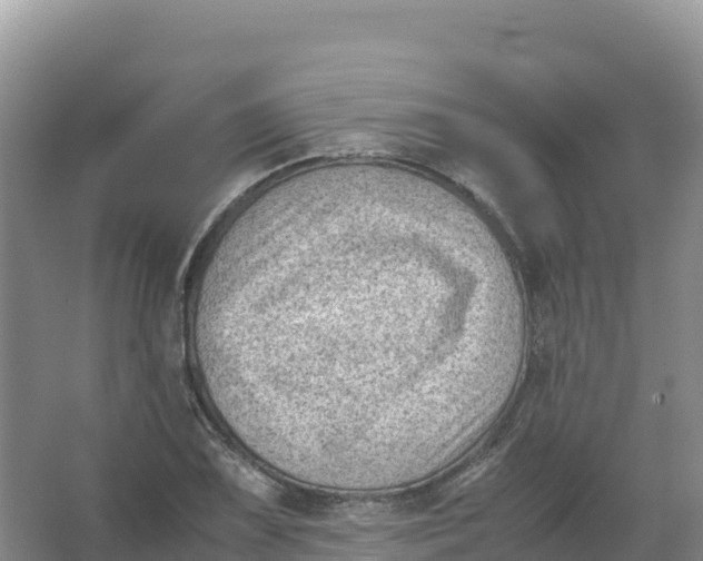 X0000066961075200604142109