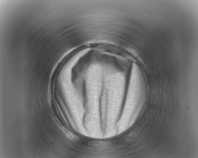 X0000066961076200604142109