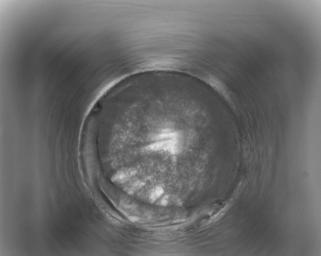 X0000066961077200604142109