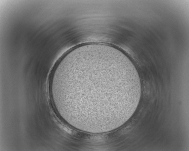 X0000066961078200604142109