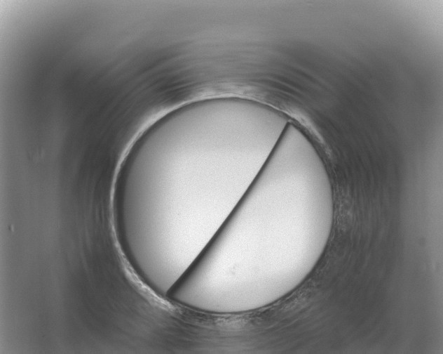 X0000066961080200604142109