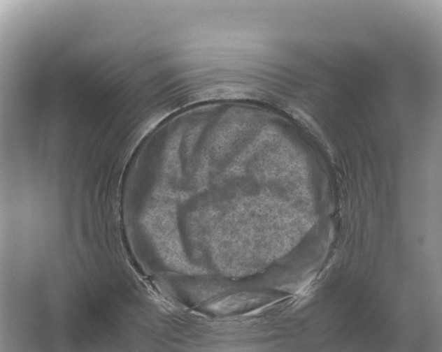 X0000066961081200604142109