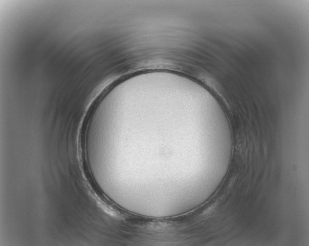 X0000066961082200604142109