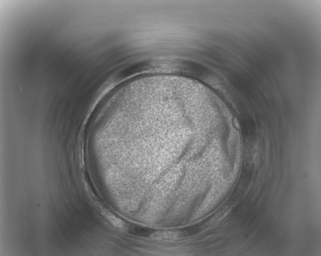 X0000066961083200604142109