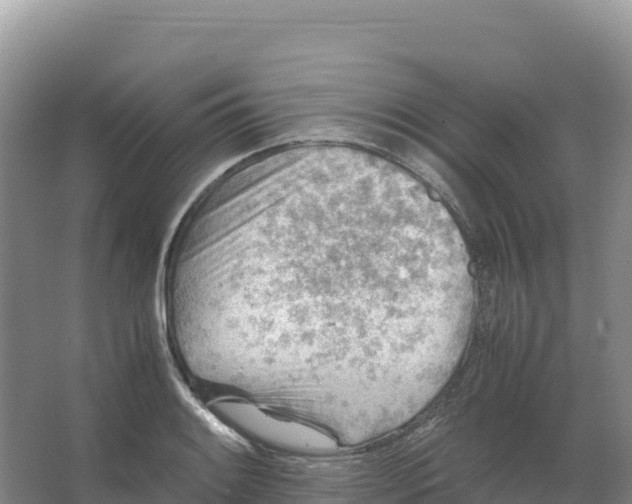 X0000066961084200604142109