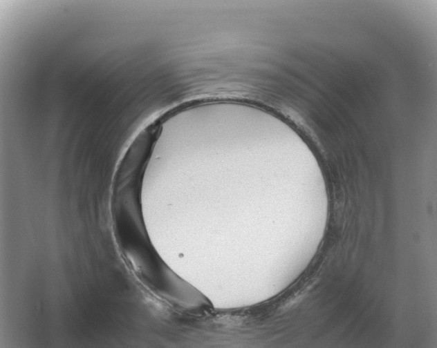 X0000066961085200604142109