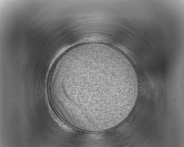 X0000066961086200604142109