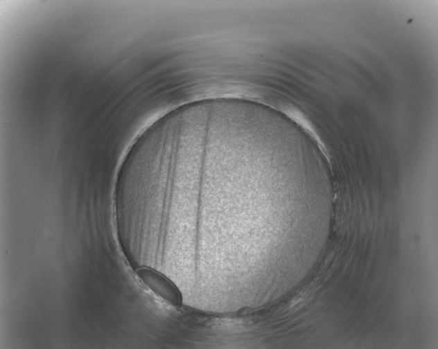 X0000066961088200604142109