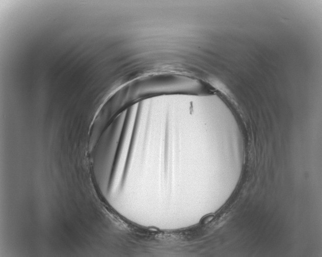 X0000066961089200604142109