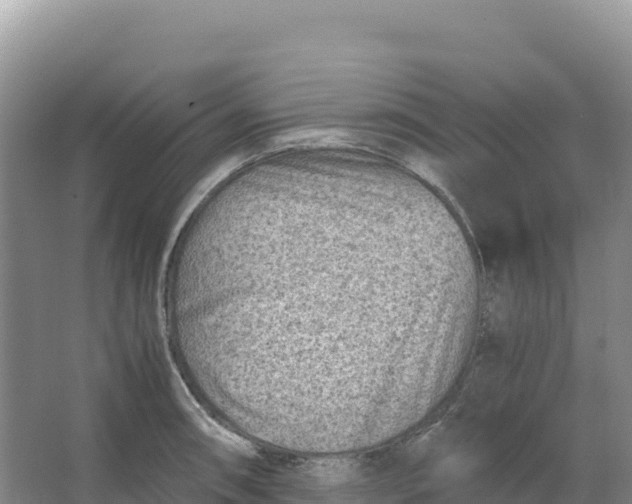 X0000066961090200604142109