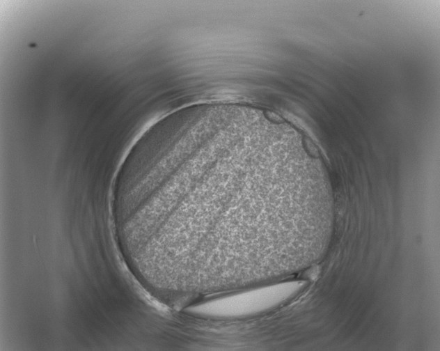 X0000066961091200604142109