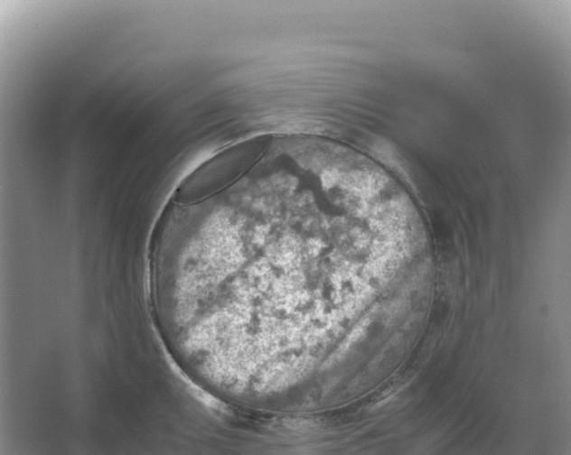 X0000066961095200604142109