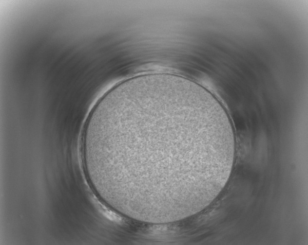 X0000066961098200604142109