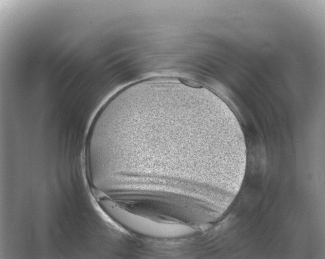 X0000066961100200604142109