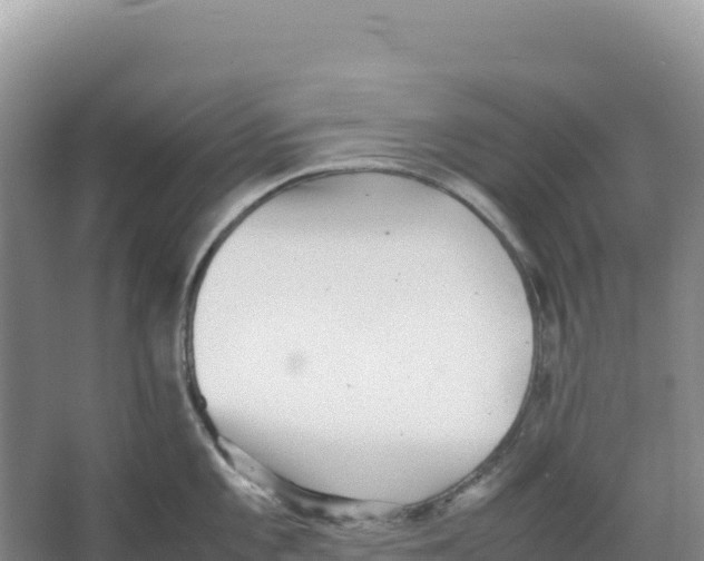 X0000066961101200604142109